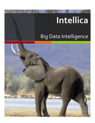  




                 Intellica	
  
       Big	
  Data	
  Intelligence	
  
 