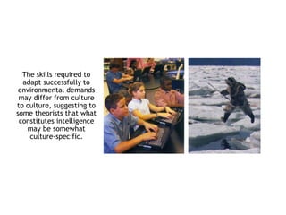 The skills required to
adapt successfully to
environmental demands
may differ from culture
to culture, suggesting to
some theorists that what
constitutes intelligence
may be somewhat
culture-specific.
 