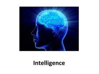 Intelligence
 