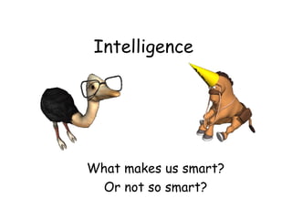 Intelligence
What makes us smart?
Or not so smart?
 