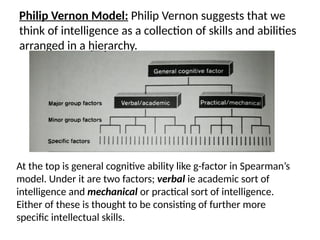 Philip Vernon Model: Philip Vernon suggests that we
think of intelligence as a collection of skills and abilities
arranged in a hierarchy.
At the top is general cognitive ability like g-factor in Spearman’s
model. Under it are two factors; verbal ie academic sort of
intelligence and mechanical or practical sort of intelligence.
Either of these is thought to be consisting of further more
specific intellectual skills.
 