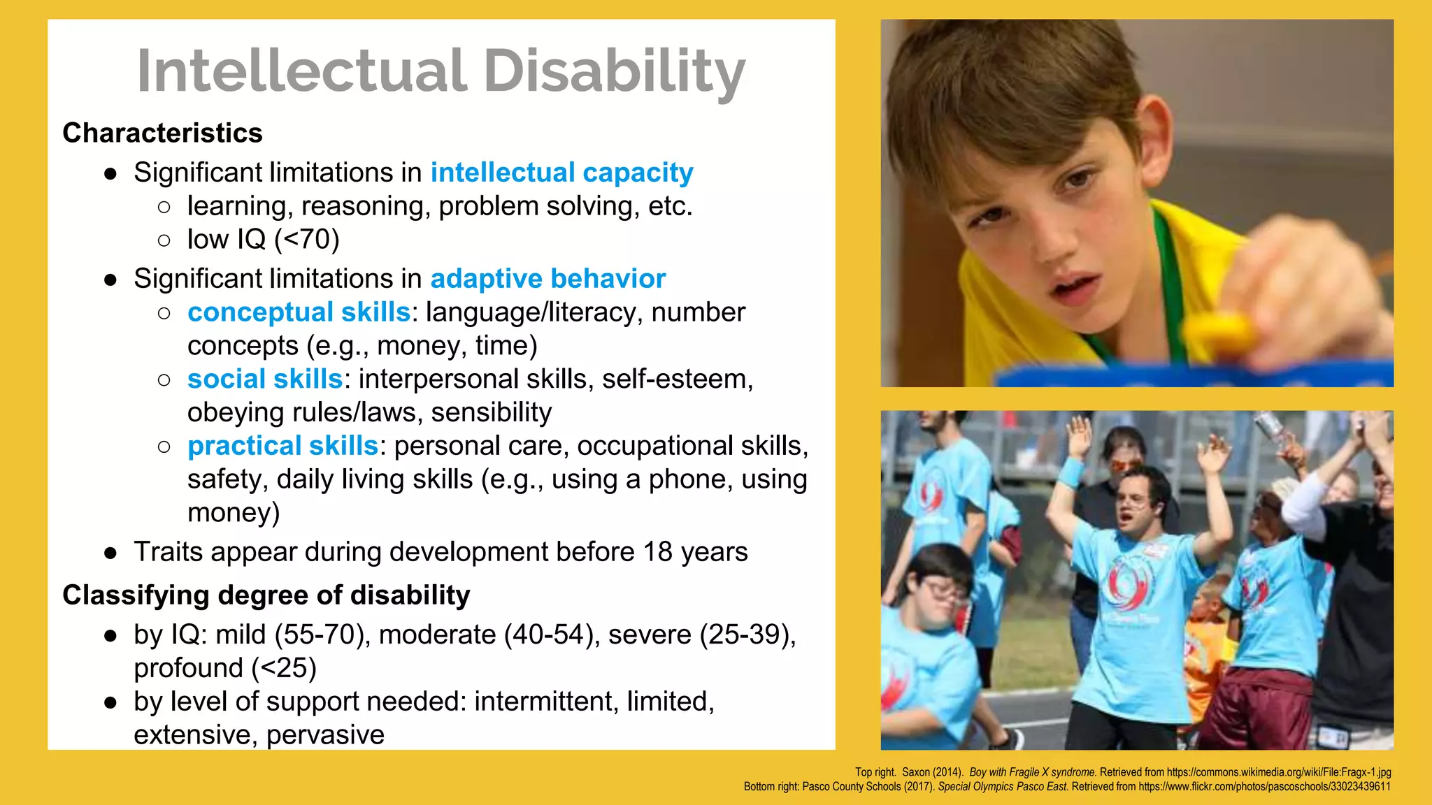 Intellect Capacity Intelligence | PPTX