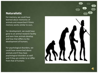 Naturalistic
For memory, we could have
learned about memories of
animals and researched if there
memory works similar to ours.

For development, we could have
gone to an animal research facility
and seen how animals develop
and how that differs to the
development of humans.

For psychological disorders, we
could have researched about
animals and if they have
psychological disorders as well
and if they are similar to or differ
from that of humans.
 
