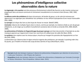 Les phénomènes d’intelligence collective
observables dans la nature
3
La stygmergie et la coaction sont des processus d’entrainement collectif des fourmis ou des insectes sociaux qui
progressent dans une œuvre commune et s’entrainent mutuellement en la menant à bien (Grasse, 1982, 1983,
1984),
La défense contre des prédateurs de bancs de poissons, de bandes de gnous, ou de nuée de moineaux qui
apprennent à se regrouper pour déstabiliser leur prédateur en leur offrant la perspective d’une masse insaisissable
(Pelt, 2009),
La synergie où la façon des lions ou des loups de chasser en meute (Bekoff, 2009),
L’entraide s’observe de multiples façons dans la nature, comme par exemple, les relations d’aide au sein de groupe
d’éléphants, ou de singes qui se prêtent mutuellement assistance dans la horde ou la bande (Pelt, 2004, Bekoff,
2009),
Les phénomènes d’imitation et d’apprentissage de groupe à groupe sont bien documentés à l’exemple du cas des
macaques japonais qui s’apprennent à laver leur nourriture et la débarrasser de sable (De Waal, 2010),
La symbiose inter-espèces avec les oiseaux pique-,mouche qui mangent les parasites des hippopotames sur leur
dos (Pelt, 2004),
La domination qui s’observe dans le règne animal et organise des préséances, par exemple le pecking order chez
les poules, qui s’installe en fonction des coups de becs donnés et reçus (Rosenbaum, 2015).
• Darrwin étudie des biotopes tropicaux il observe les phénomènes d’adaptation par sélection et concurrence
« lutte pour l’existence » (De l'Origine des Espèces)
• Kropotkine étudie des biotopes sibériens il en déduit des phénomènes d’adaptation par l’entraide (L’entraide :
un facteur d’évolution. Pierre Kropotkine. Editions Aden. 2015)
 