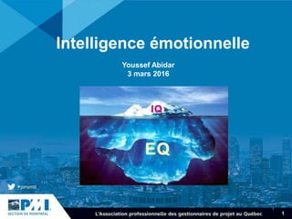 1
Youssef Abidar
3 mars 2016
Intelligence émotionnelle
 