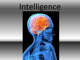 Intelligence
 