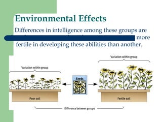 Environmental Effects
Differences in intelligence among these groups are
largely environmental, as if one environment is more
fertile in developing these abilities than another.
 
