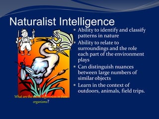 INTELLIGENCE vels ppt.pptx