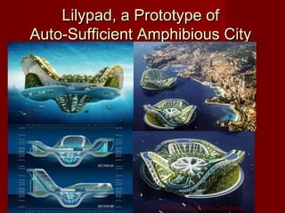 Lilypad, a Prototype ofLilypad, a Prototype of
Auto-Sufficient Amphibious CityAuto-Sufficient Amphibious City
Architect Vincent Callebaut
 