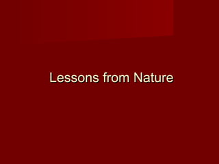 Lessons from NatureLessons from Nature
 