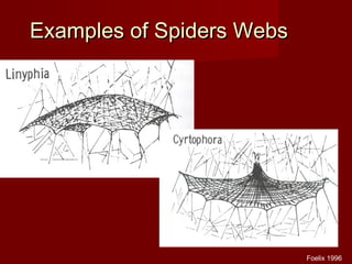 Examples of Spiders WebsExamples of Spiders Webs
Foelix 1996
 