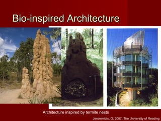 Architecture inspired by termite nests
Bio-inspired ArchitectureBio-inspired Architecture
Jeronimidis, G, 2007, The University of Reading
 