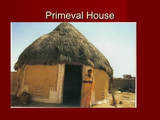 Primeval HousePrimeval House
 