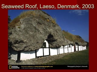 Seaweed Roof, Laeso, Denmark, 2003Seaweed Roof, Laeso, Denmark, 2003
 