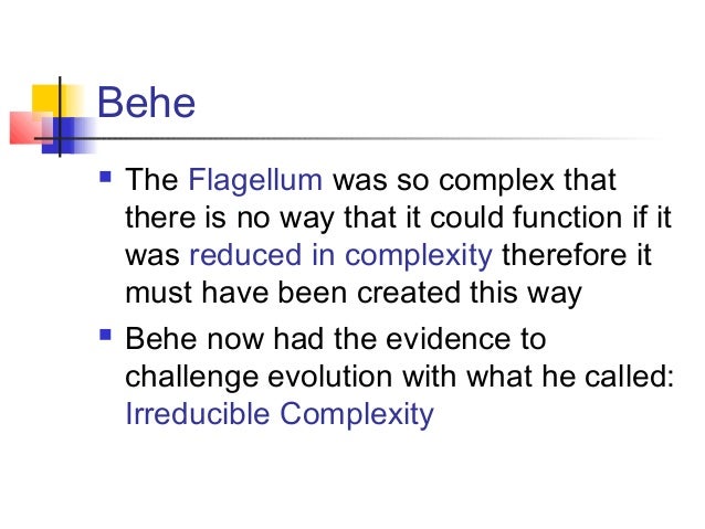 Short Intelligent Design Summary Aqa Religious Studies