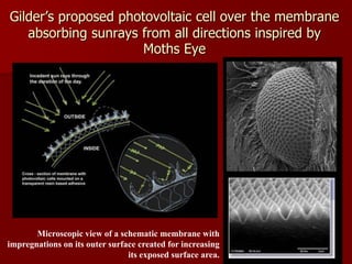 Gilder’s proposed photovoltaic cell over the membrane
absorbing sunrays from all directions inspired by
Moths Eye
Microscopic view of a schematic membrane with
impregnations on its outer surface created for increasing
its exposed surface area.
 