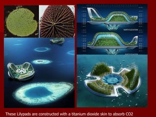 These Lilypads are constructed with a titanium dioxide skin to absorb CO2
 