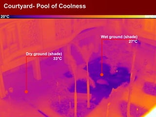Environmental Design Response │ March 2012
Courtyard- Pool of Coolness
20°C 50°C
Dry ground (shade)
33°C
Wet ground (shade)
27°C
 