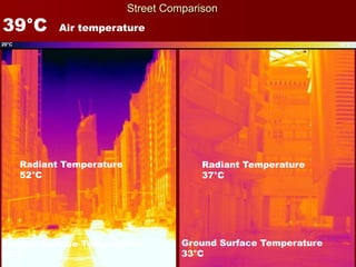 Environmental Design Response │ March 2012
Street Comparison
20°C 50°C
39°C Air temperature
Ground Surface Temperature
57°C
Radiant Temperature
37°C
Ground Surface Temperature
33°C
Radiant Temperature
52°C
 
