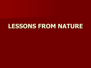 LESSONS FROM NATURE
 