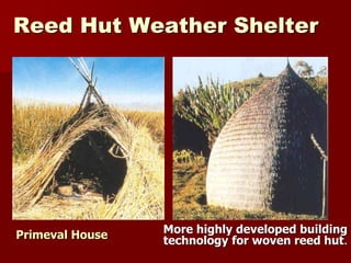 Reed Hut Weather Shelter
More highly developed building
technology for woven reed hut.Primeval House
 
