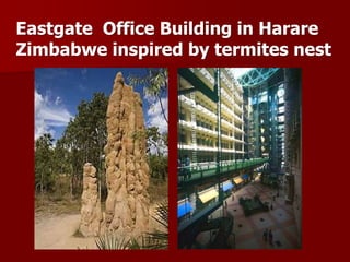 Eastgate Office Building in Harare
Zimbabwe inspired by termites nest
 