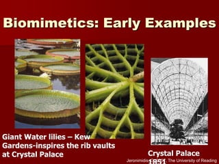 Biomimetics: Early Examples
Giant Water lilies – Kew
Gardens-inspires the rib vaults
at Crystal Palace Crystal Palace
Jeronimidis, G, 2007, The University of Reading
 