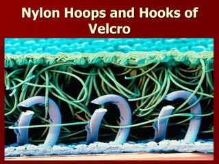 Nylon Hoops and Hooks of
Velcro
 
