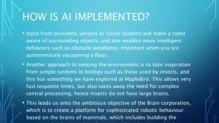 HOW IS AI IMPLEMENTED?
• Input from proximity sensors or vision systems will make a robot
aware of surrounding objects, and this enables more intelligent
behaviors such as obstacle avoidance, important when you are
autonomously vacuuming a floor.
• Another approach to sensing the environment is to take inspiration
from simple systems in biology such as those used by insects, and
this has something we have explored at MapleBird. This allows very
fast response times, but also takes away the need for complex
central processing, hence insects do not have large brains.
• This leads us onto the ambitious objective of the Brain corporation,
which is to create a platform for sophisticated robotic behaviour
based on the brains of mammals, which includes building the
 