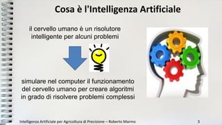 Cosa è l'Intelligenza Artificiale
Intelligenza Artificiale per Agricoltura di Precisione – Roberto Marmo 3
il cervello uma...