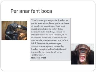 Per anar fent boca “ El més curiós que sempre són femelles les que fan innovacions. Penso que la raó és que els mascles no tenen temps. Estan molt ocupats amb els jocs de poder. Estan interessats en les femelles, a separar els altres mascles de les seves femelles, en les relacions de dominació. Aleshores fer una tasca senzilla, com trencar una nou, se'ls fa difícil. Tenen molts problemes per concentrar-se en aquestes tasques. Les femelles s´adapten molt més ràpidament i tenen molta més capacitat a l´hora d´utilitzar eines.” Frans de Waal 