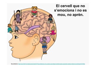 El cervell que no
                                                                                                s’emociona i no es
                                                                                                  mou, no aprèn.




Neurodidàctica: http://www.think1.tv/videoteca/es/index/0-37/neurodidactica-cinco-pilares-aprendizaje-manfred-spitzer-psiquiatra-instituto-leibnitz-neurobiolog%C3%ADa
 