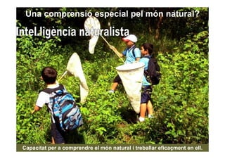 Una comprensió especial pel món natural?




Capacitat per a comprendre el món natural i treballar eficaçment en ell.
 