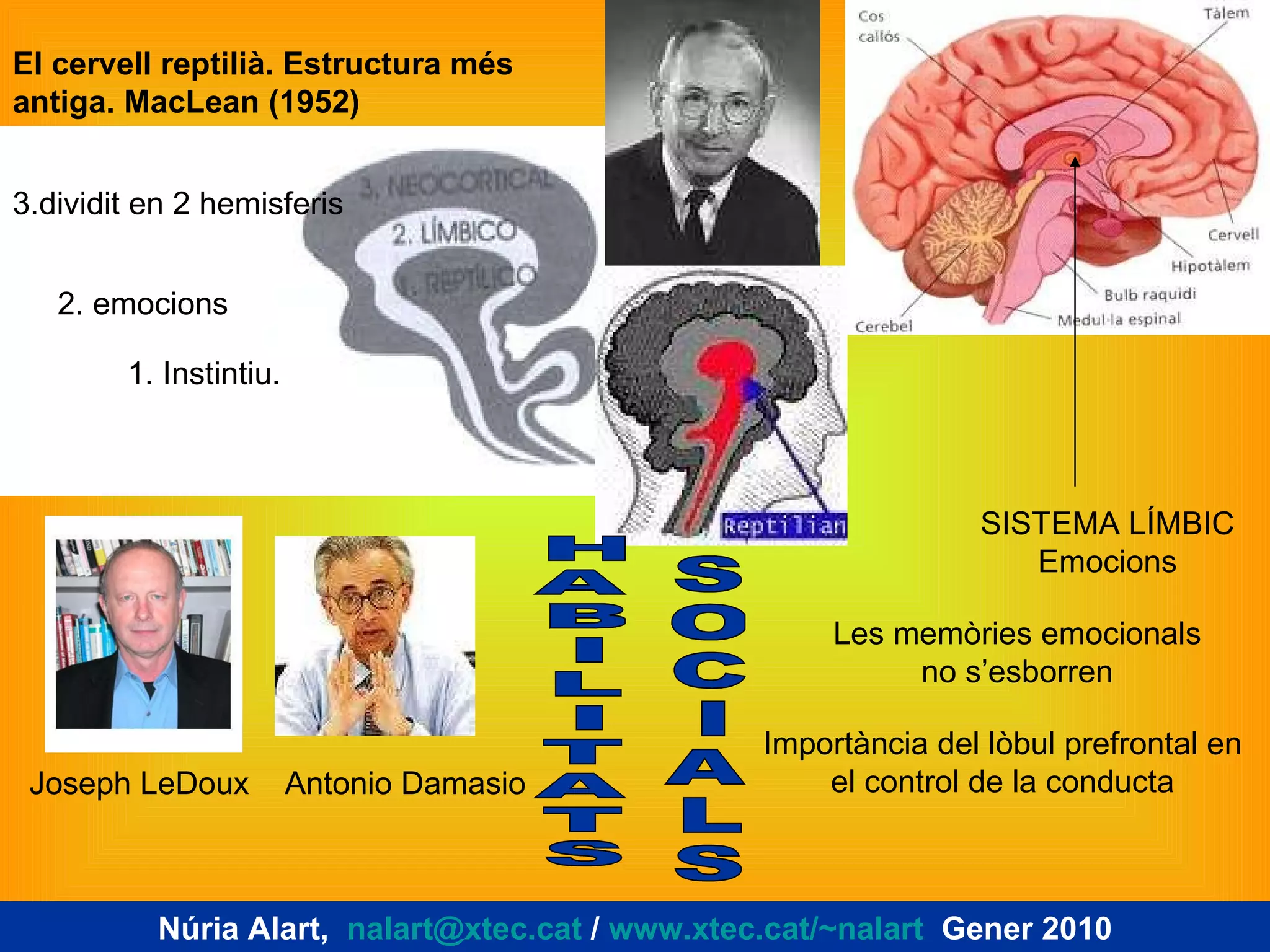 El cervell reptilià. Estructura més antiga. MacLean (1952) Joseph LeDoux  Antonio Damasio Les memòries emocionals no s’esborren Importància del lòbul prefrontal en el control de la conducta SISTEMA LÍMBIC Emocions Núria Alart,  [email_address]  /  www.xtec.cat/~nalart   Gener 2010 1. Instintiu. 2. emocions 3.dividit en 2 hemisferis H A B I L I T A T S S O C I A L S 