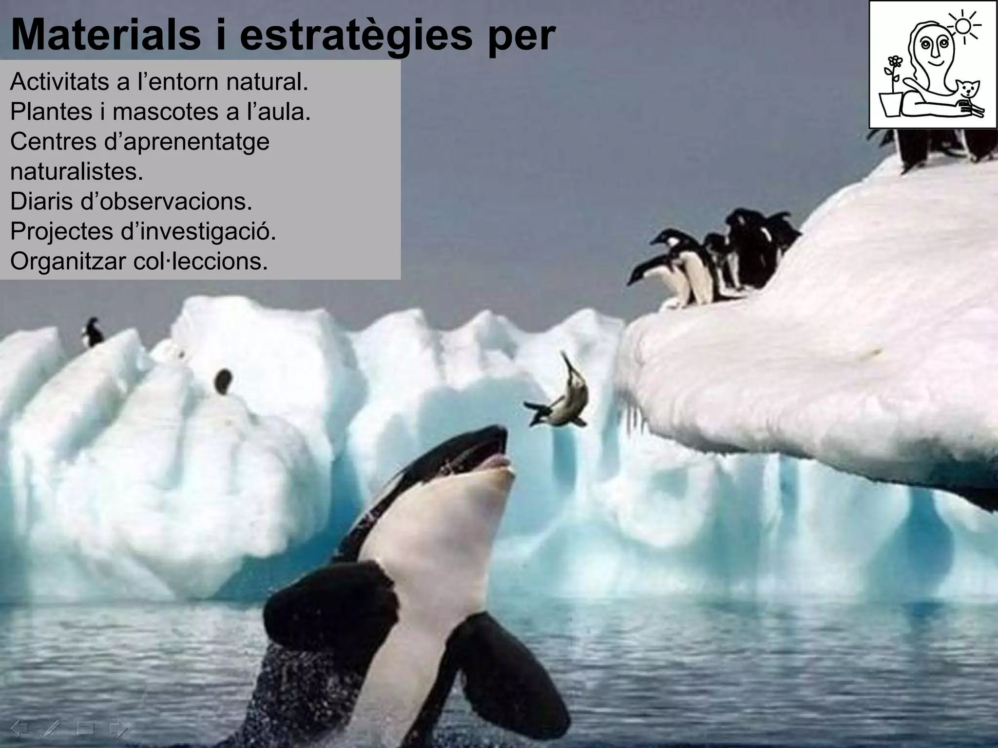 Materials i estratègies per desenvolupar: Activitats a l’entorn natural. Plantes i mascotes a l’aula. Centres d’aprenentatge naturalistes. Diaris d’observacions. Projectes d’investigació. Organitzar col·leccions. 