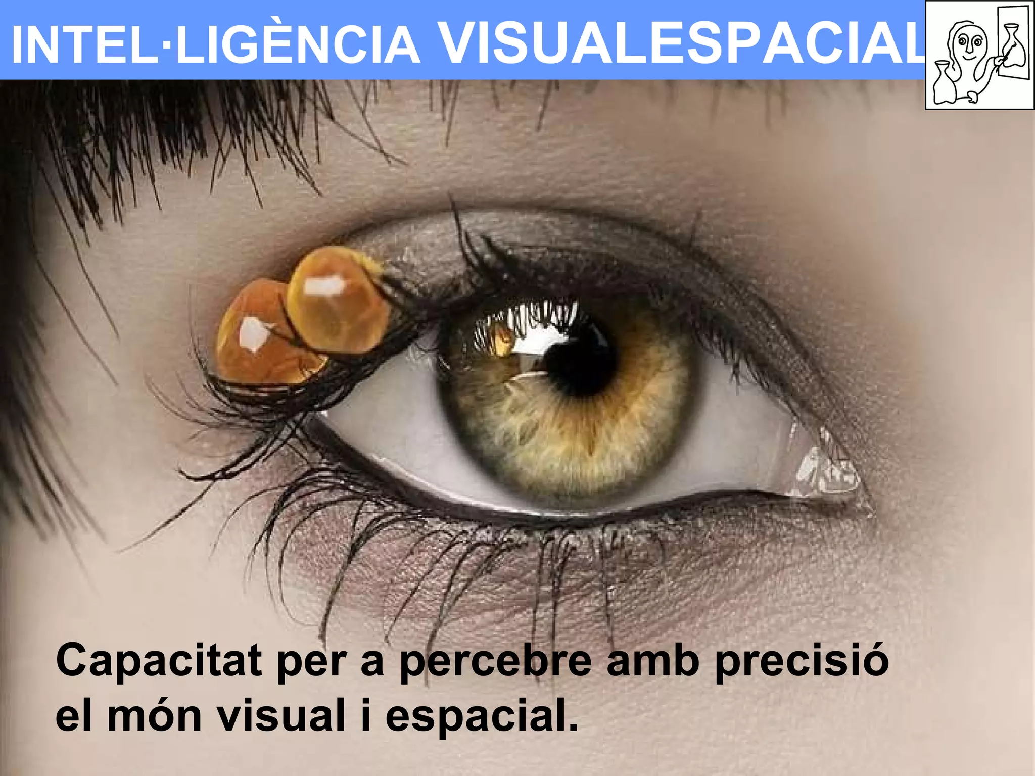 INTEL·LIGÈNCIA  VISUALESPACIAL Capacitat per a percebre amb precisió  el món visual i espacial. 