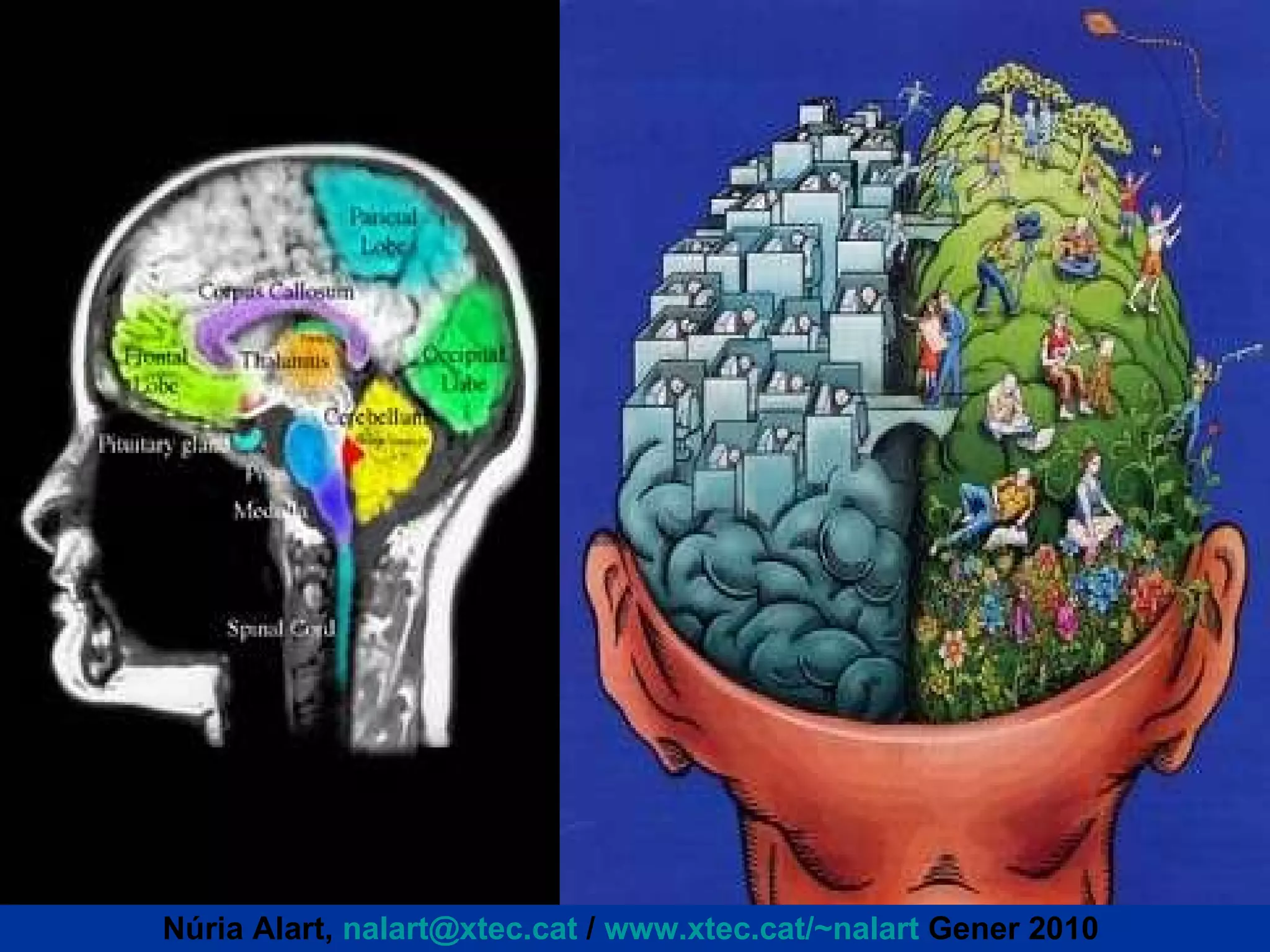 Núria Alart,  [email_address]  /  www.xtec.cat/~nalart  Gener 2010  
