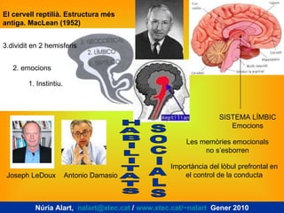 El cervell reptilià. Estructura més antiga. MacLean (1952) Joseph LeDoux  Antonio Damasio Les memòries emocionals no s’esborren Importància del lòbul prefrontal en el control de la conducta SISTEMA LÍMBIC Emocions Núria Alart,  [email_address]  /  www.xtec.cat/~nalart   Gener 2010 1. Instintiu. 2. emocions 3.dividit en 2 hemisferis H A B I L I T A T S S O C I A L S 