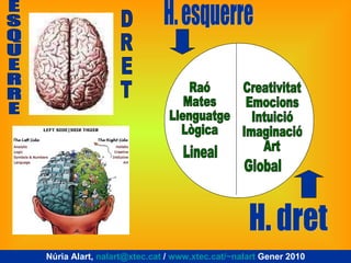 E S Q U E R R E H. dret Raó Mates Llenguatge Lògica Creativitat Emocions Intuició Imaginació Art H. esquerre D R E T Núria...