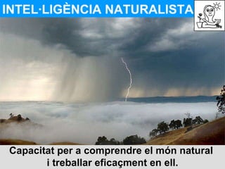 INTEL·LIGÈNCIA NATURALISTA Capacitat per a comprendre el món natural  i treballar eficaçment en ell. 