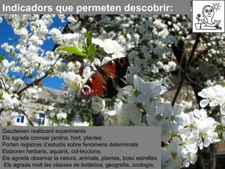 Indicadors que permeten descobrir: Gaudeixen realitzant experiments  Els agrada conrear jardins, hort, plantes  Porten reg...