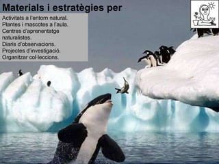 Materials i estratègies per desenvolupar: Activitats a l’entorn natural. Plantes i mascotes a l’aula. Centres d’aprenentatge naturalistes. Diaris d’observacions. Projectes d’investigació. Organitzar col·leccions. 
