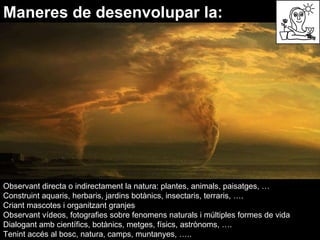 Maneres de desenvolupar la: Observant directa o indirectament la natura: plantes, animals, paisatges, …  Construint aquaris, herbaris, jardins botànics, insectaris, terraris, ….  Criant mascotes i organitzant granjes  Observant vídeos, fotografies sobre fenomens naturals i múltiples formes de vida  Dialogant amb científics, botànics, metges, físics, astrònoms, ….  Tenint accés al bosc, natura, camps, muntanyes, …..  