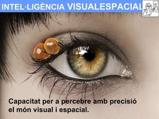 INTEL·LIGÈNCIA  VISUALESPACIAL Capacitat per a percebre amb precisió  el món visual i espacial. 