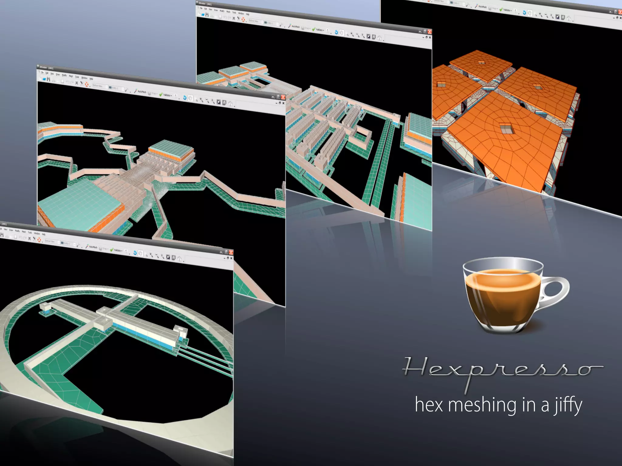 hex meshing in a jiﬀy
 