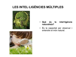 LES INTEL·LIGÈNCIES MÚLTIPLES

●

●

Què és la
naturalista?

intel·ligència

És la capacitat per observar i
entendre el món natural.

 