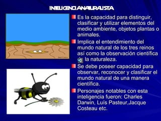 INTELIGENCIA NATURALISTA Es la capacidad para distinguir, clasificar y utilizar elementos del medio ambiente, objetos plantas o animales. Implica el entendimiento del mundo natural de los tres reinos así como la observación científica de la naturaleza. Se debe poseer capacidad para observar, reconocer y clasificar el mundo natural de una manera científica. Personajes notables con esta inteligencia fueron: Charles Darwin, Luís Pasteur,Jacque Costeau etc. 