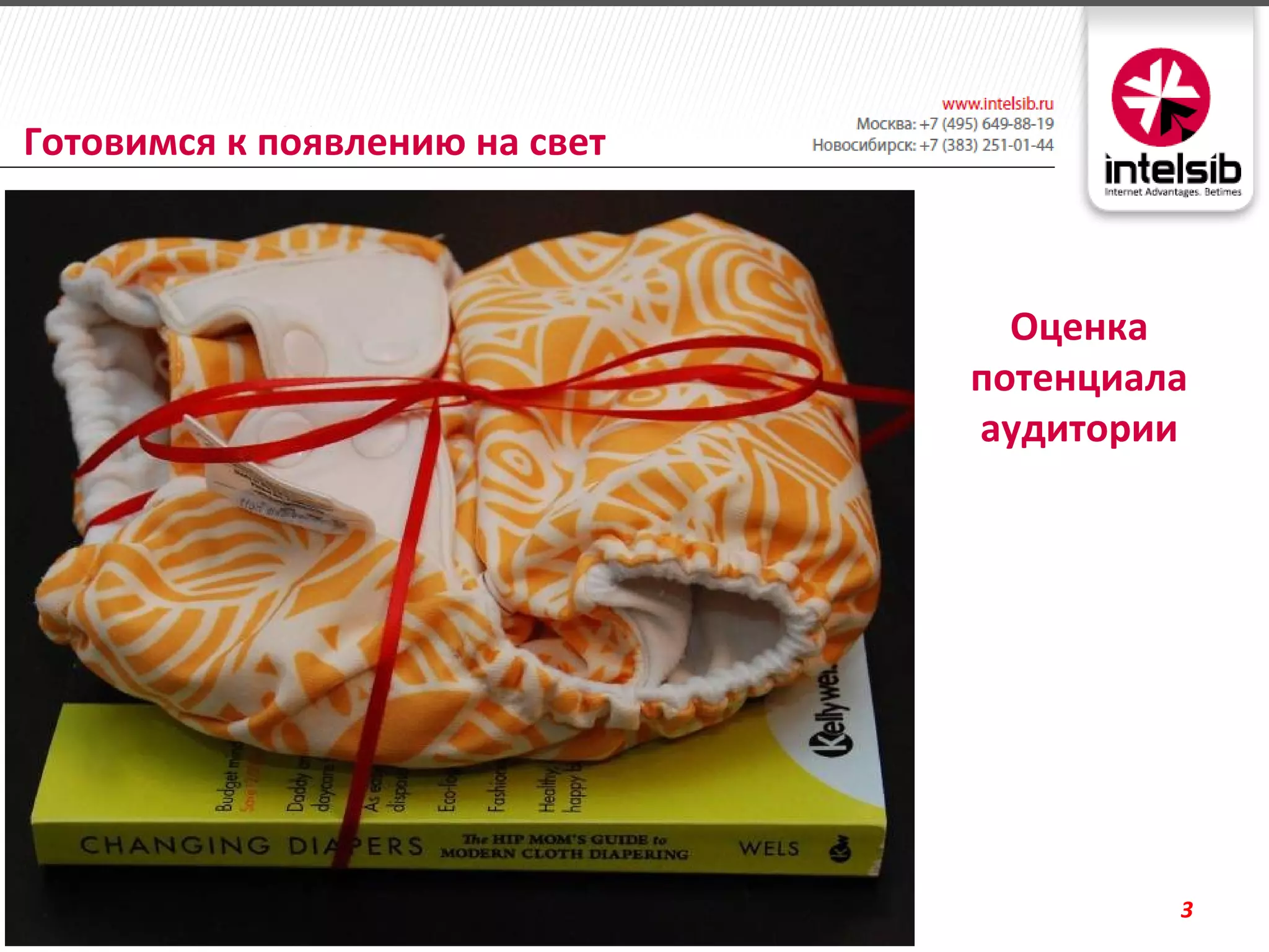Готовимся к появлению на свет



                                  Оценка
                                потенциала
                                аудитории




                                         3
 