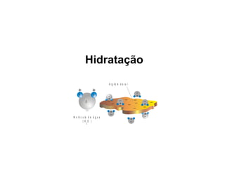 Hidratação
A r g ilo m in e ra l
H

H
O

M o lé c u la d e á g u a
(H O )
2

 