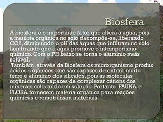 A biosfera e o importante fator que altera a agua, pois
a matéria orgânica no solo decompõe-se, liberando
CO2, diminuindo o pH das águas que infiltram no solo.
Lembrando que a agua promove o intemperismo
químico. Com o PH baixo se torna o alumínio mais
solúvel.
 Também através da Biosfera os microrganismo produz
ácidos orgânicos que são capazes de extrair muito
ferro e alumínio dos silicatos, pois as moléculas
orgânicas são capazes de complexar cátions dos
minerais colocando em solução. Portanto FAUNA e
FLORA fornecem matéria orgânica para reações
químicas e remobilizam materiais
 